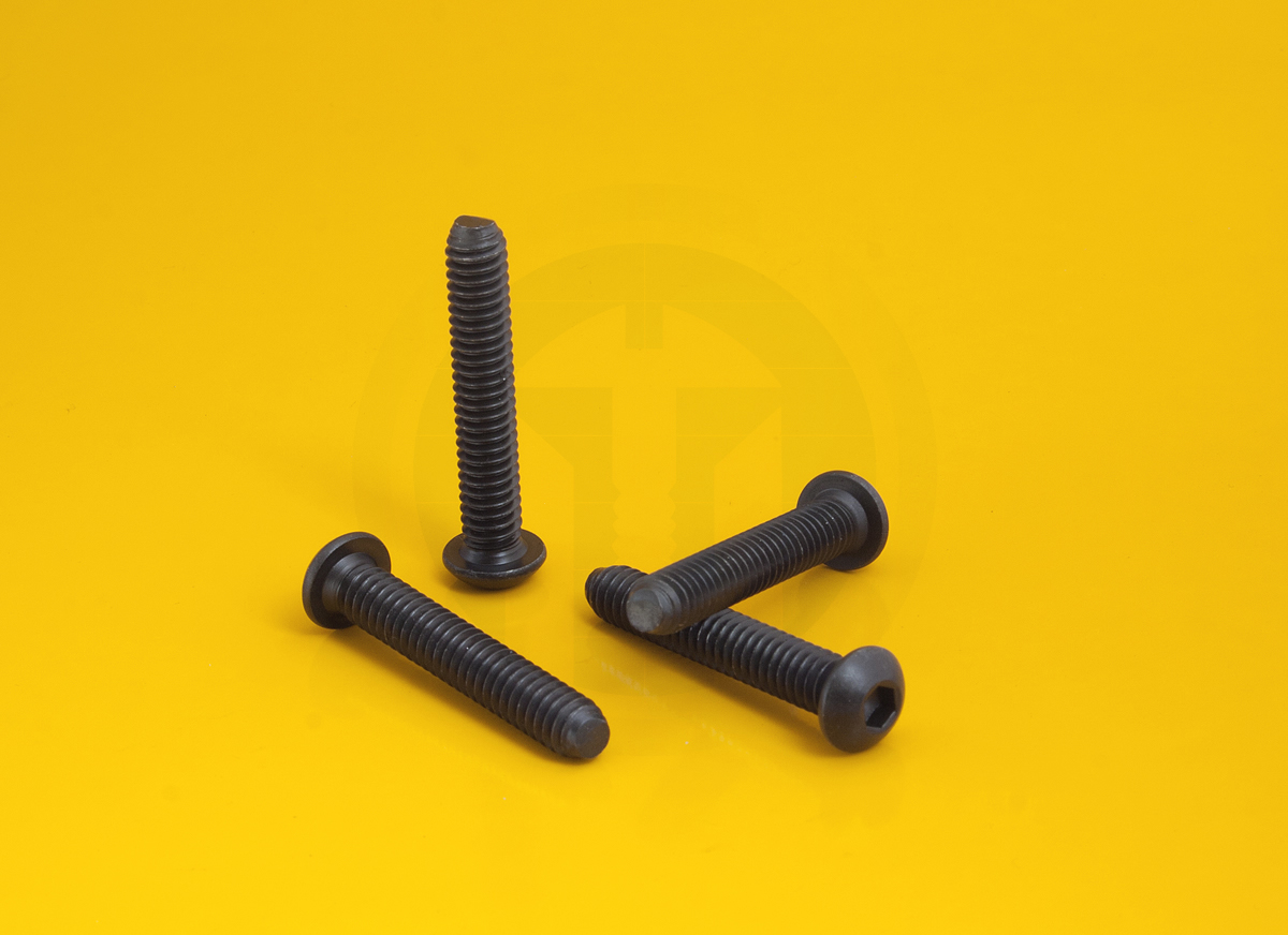 BRISTOL CON CABEZA BOTON